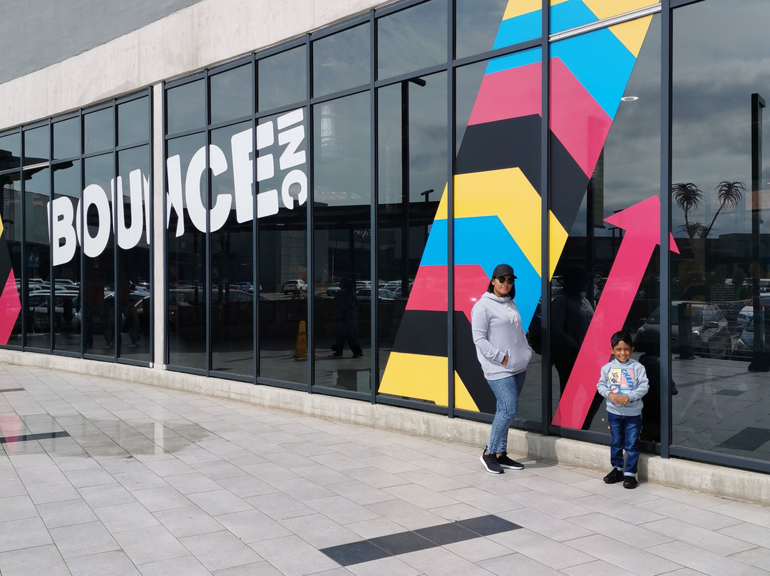 Bounce Inc Cornubia Mall景点图片