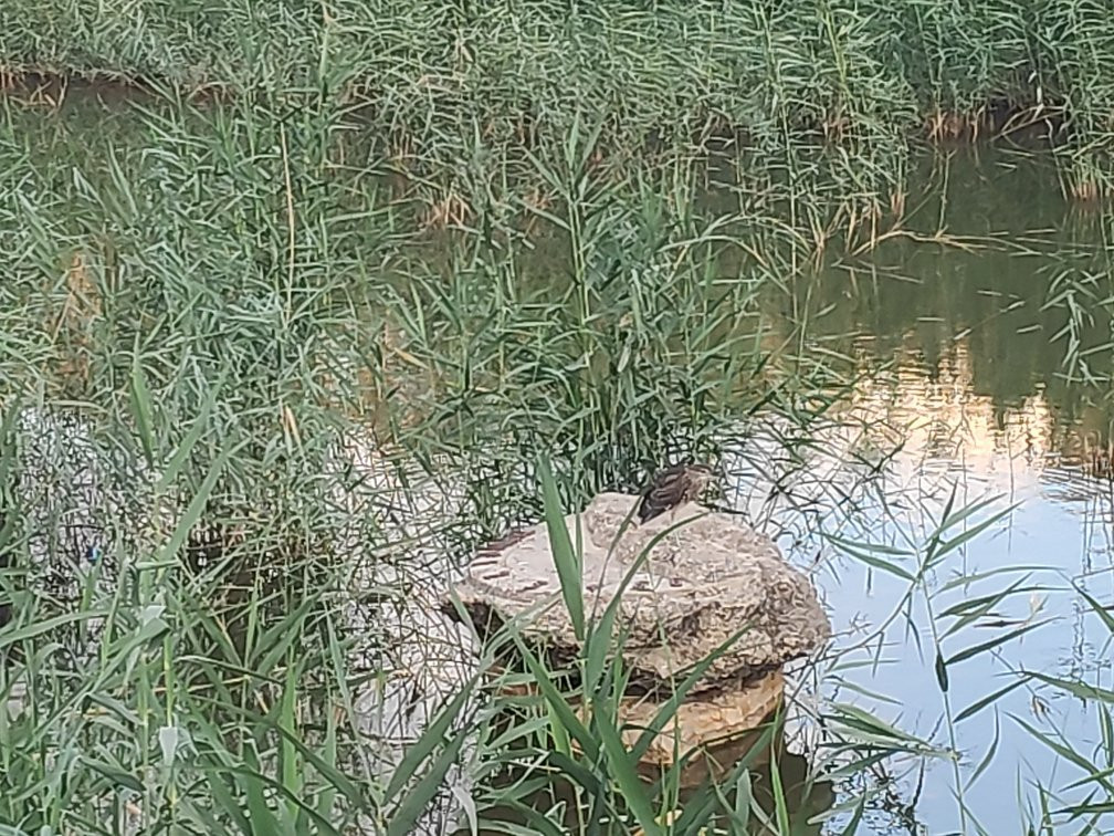 Etgarim Lakhish Park-阿什杜德必去景点