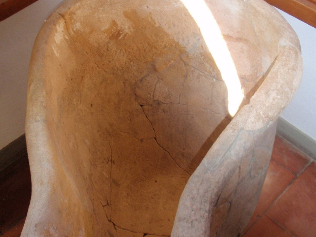 Museo Archeologico Nazionale di Cosa景点图片