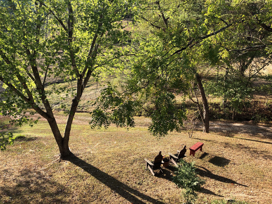 Snug Hollow Farm Bed & Breakfast主图