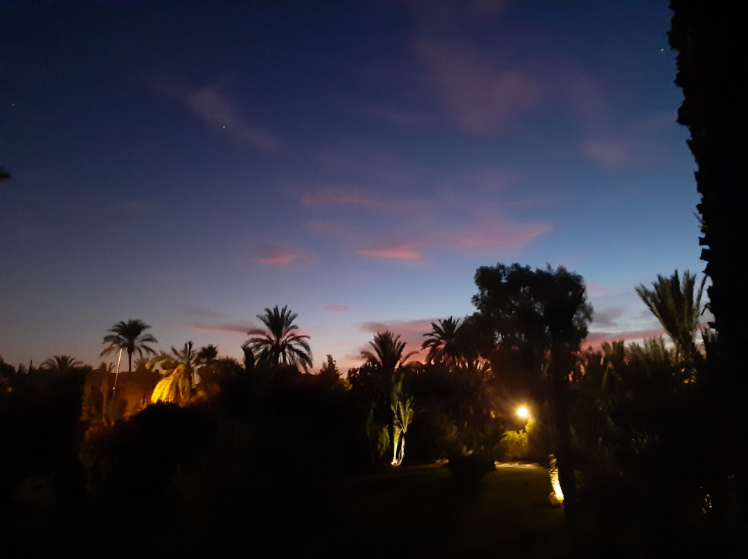 Villa Al Assala La Palmerale主图