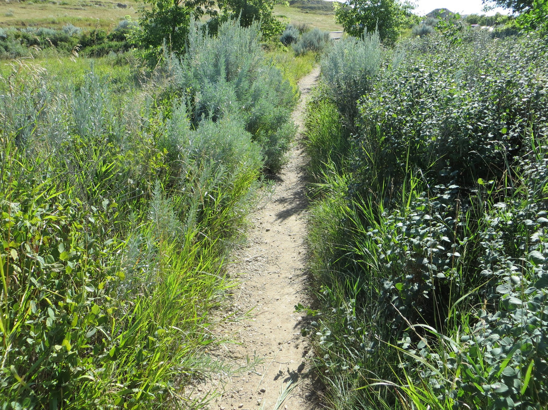 Boicourt Overlook Trail-Medora必去景点