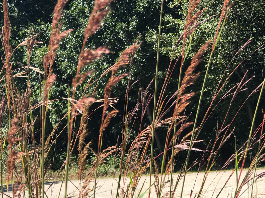 Moraine Hills State Park-McHenry必去景点