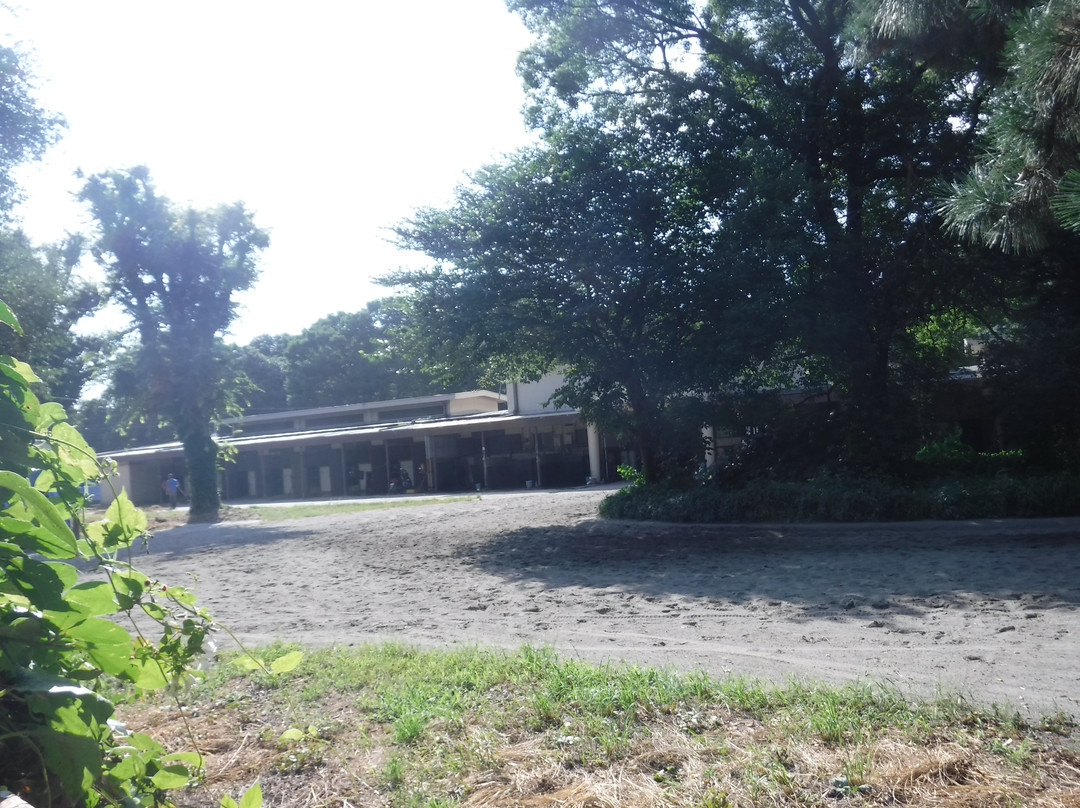 Kobayashi Farm-印西市必去景点