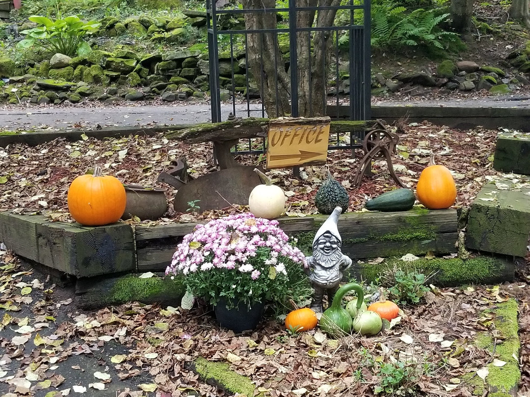 Birchcliff Resort主图