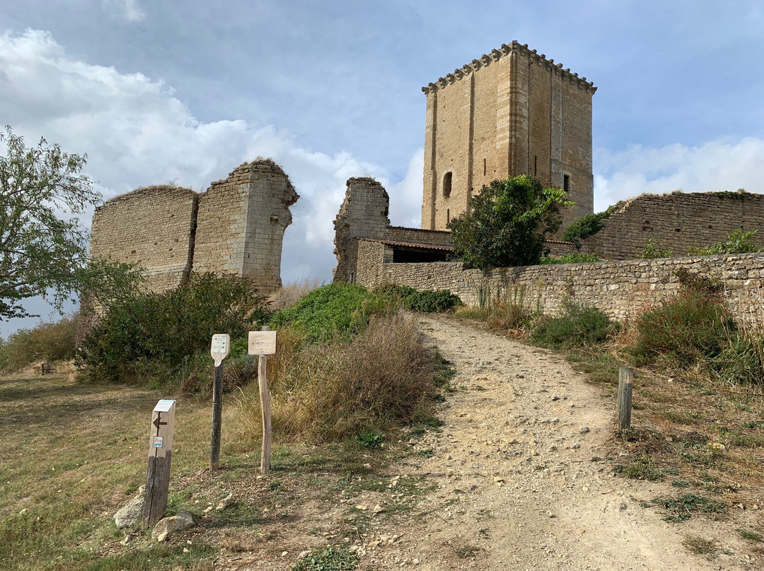 Donjon de Moncontour景点图片