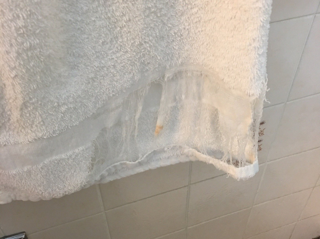 Seven Oakes Motel主图