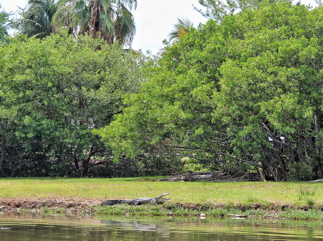 Canal de la Cortadura-坦皮科必去景点