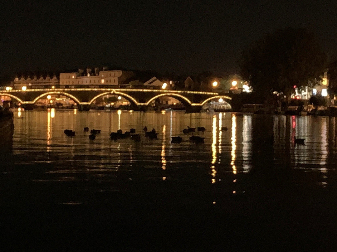 My River Cruising景点图片