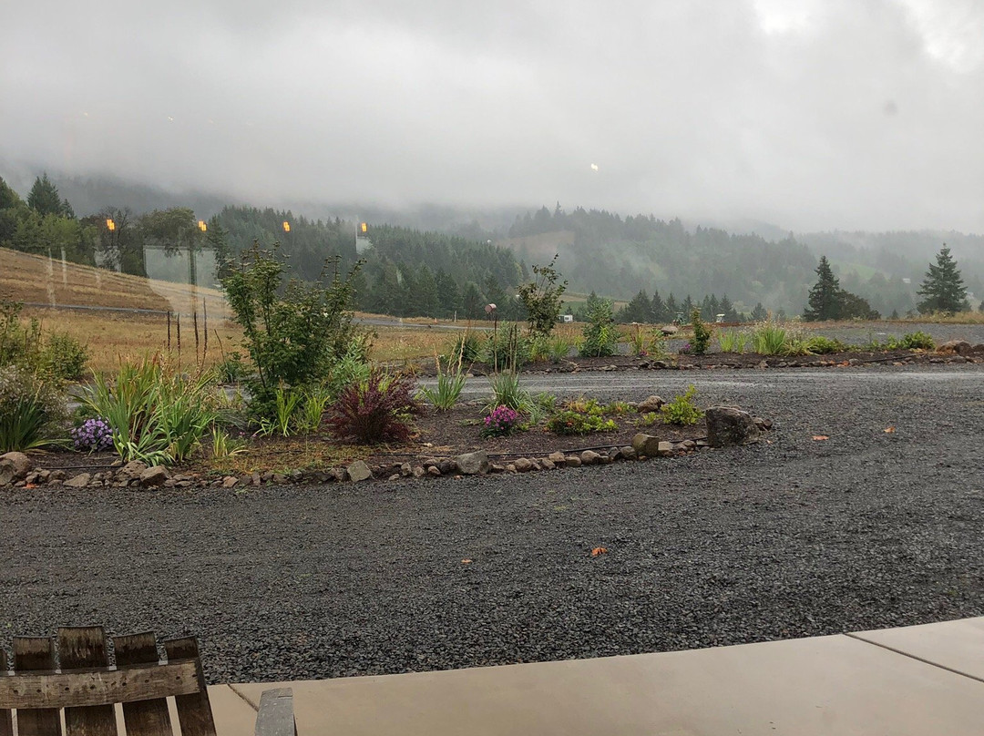 A Great Oregon Wine Tour-波特兰必去景点