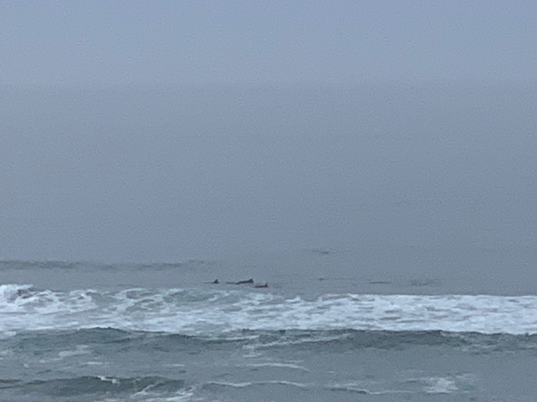 Beach Villa Wilderness主图