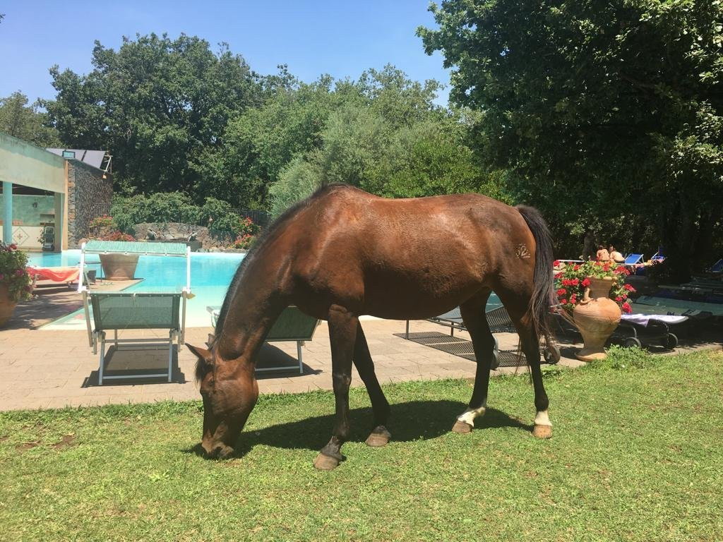 Country Hotel Mandra Edera主图