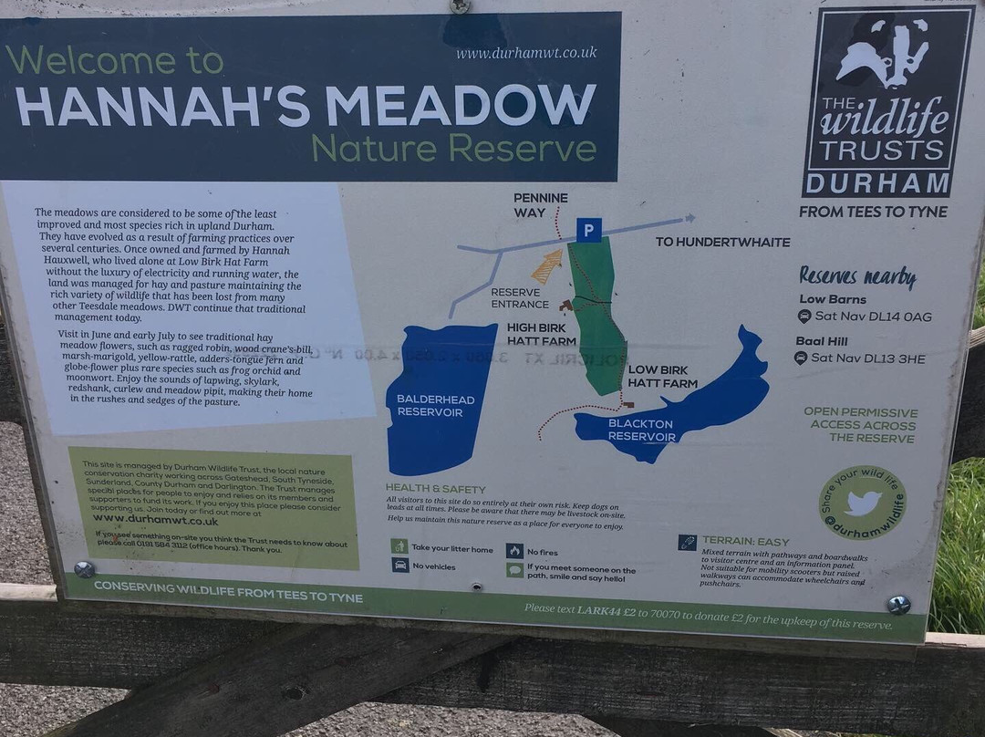 Hannah's Meadow-Barnard Castle必去景点