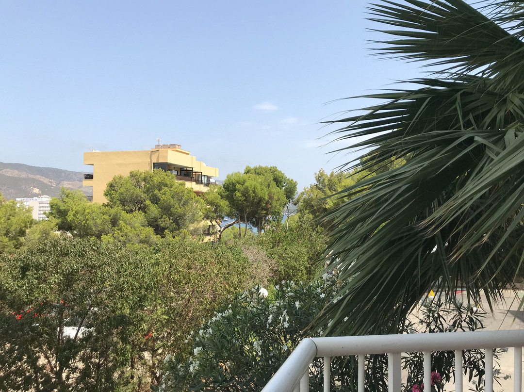 维斯塔索尔公寓主图