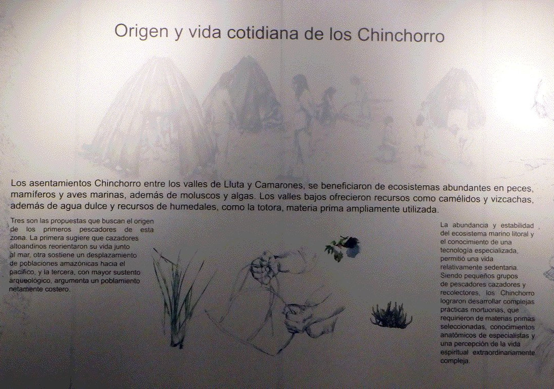 Museo Momias Chinchorro-阿里卡必去景点