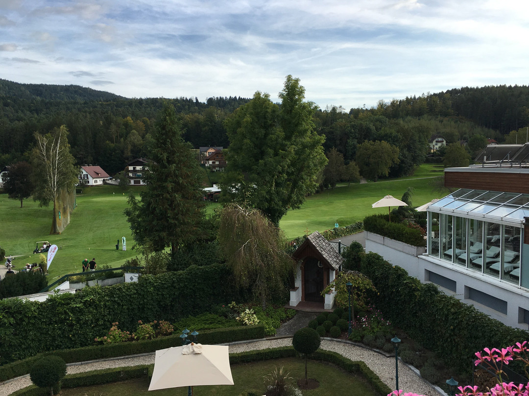 The Original FX Mayr主图