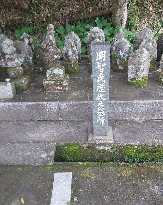 Tenryu-ji Temple景点图片