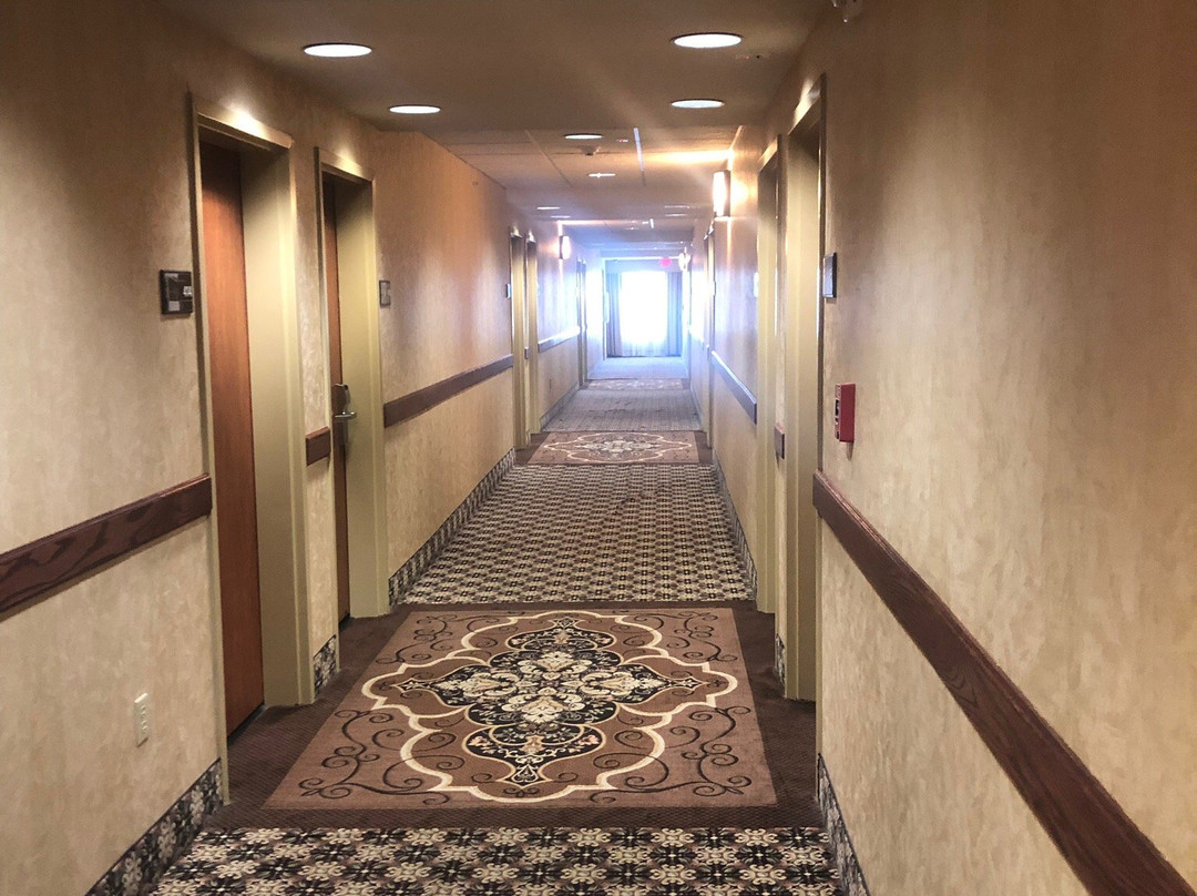 伊尼德希尔顿恒庭旅馆&套房酒店主图