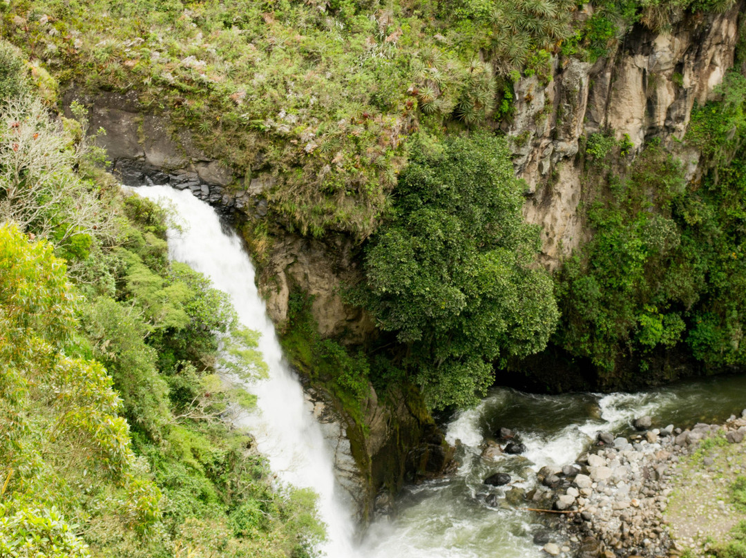 Ulbilla Hosteria主图