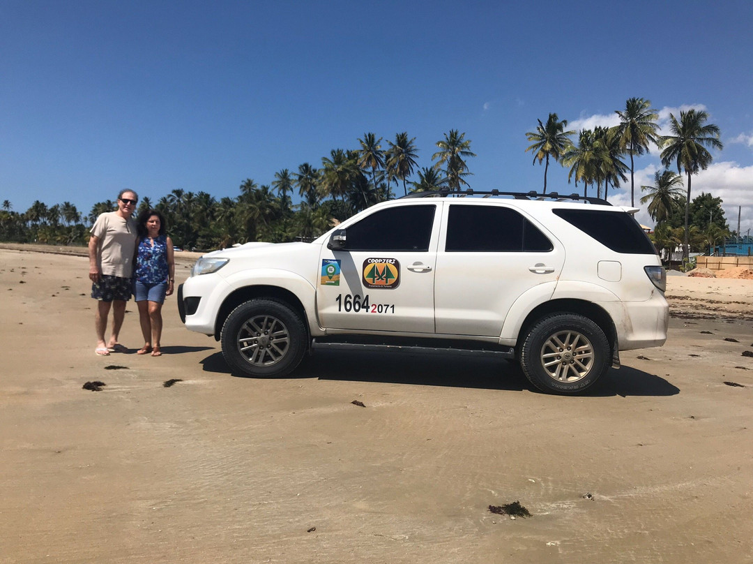 JeriTur-Jijoca de Jericoacoara必去景点