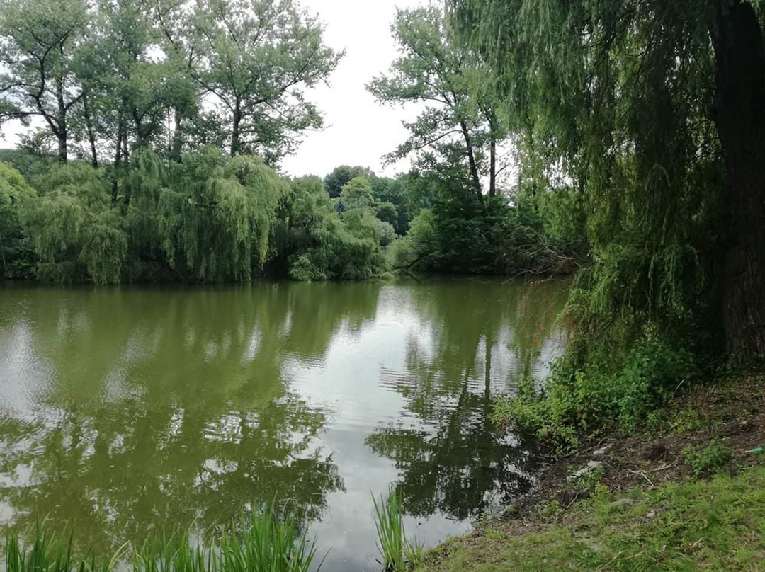 Kosciuszko Park-卡托维兹必去景点