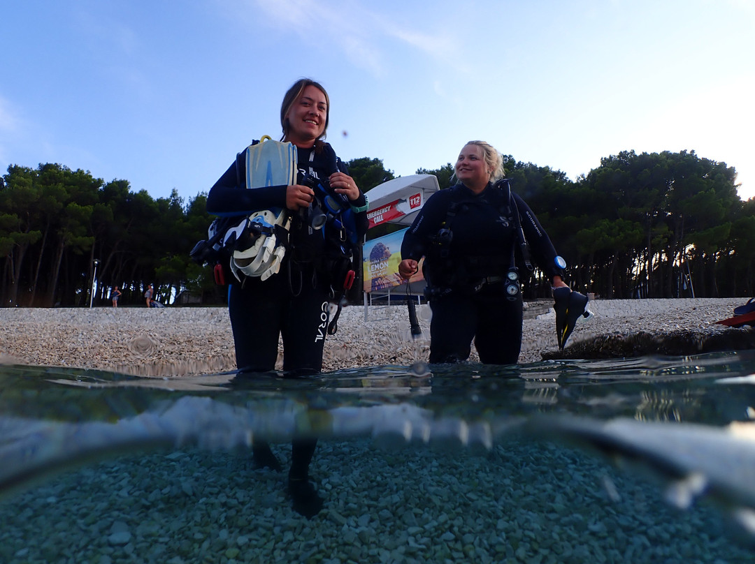 Diving Center Pongo-普莫斯特必去景点