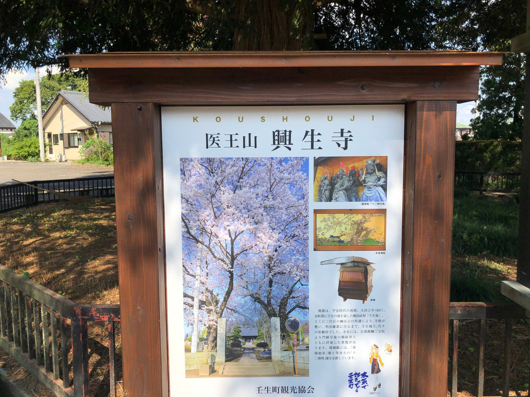 Kosho-ji Temple-壬生町必去景点