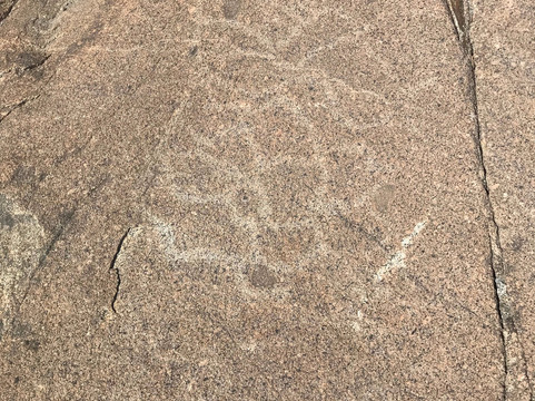 Donner Summit Historical Museum-Norden必去景点