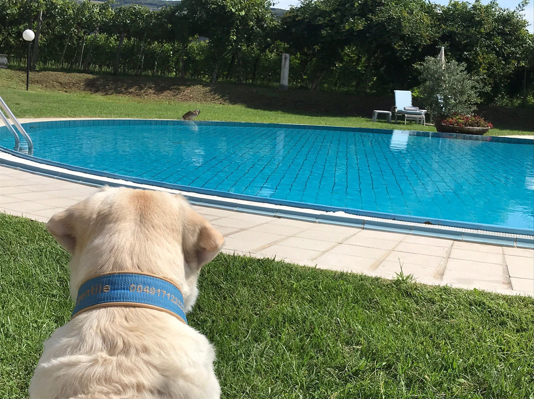 德尔瓜别墅酒店主图