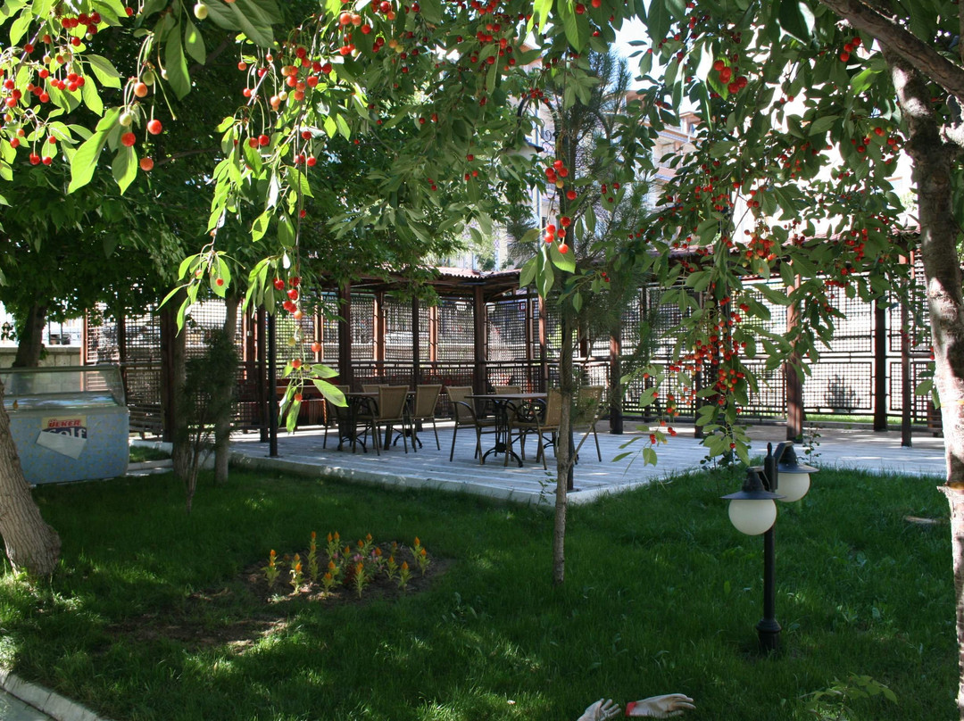 Inonu House-Sivas必去景点
