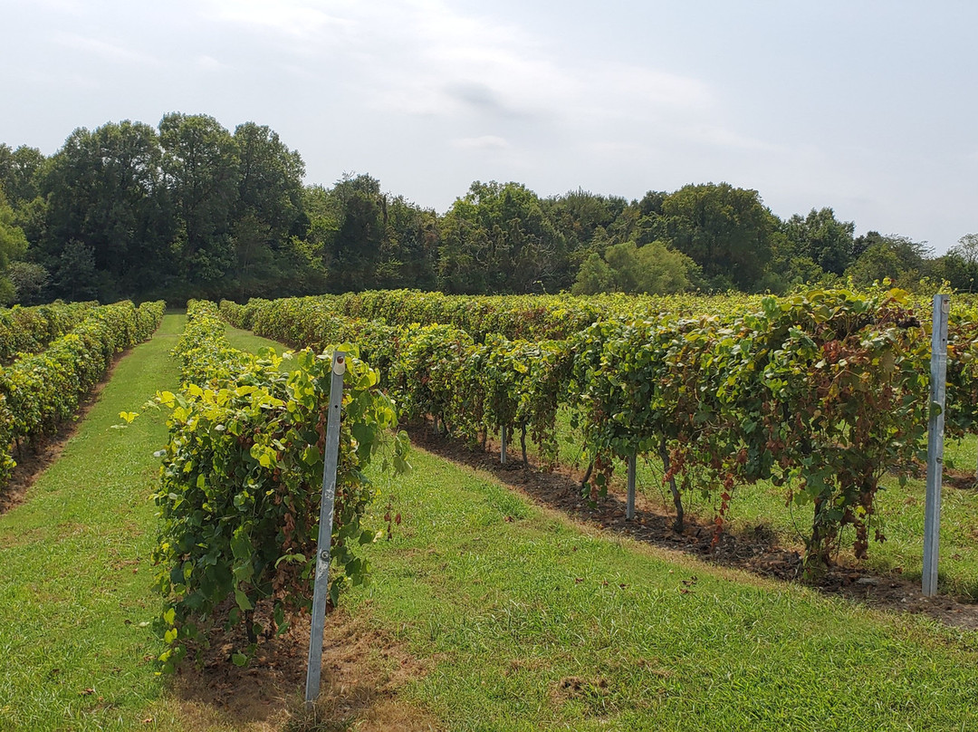 Crown Winery-Humboldt必去景点