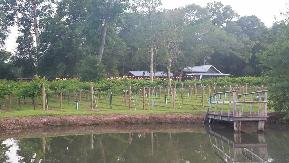 Free State Cellars-奥兰治必去景点