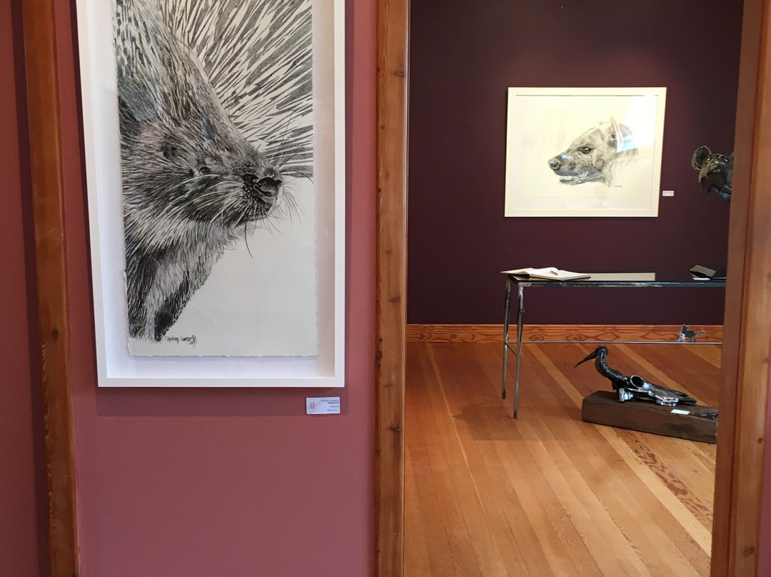 Fine Art Gallery-斯瓦科普蒙德必去景点