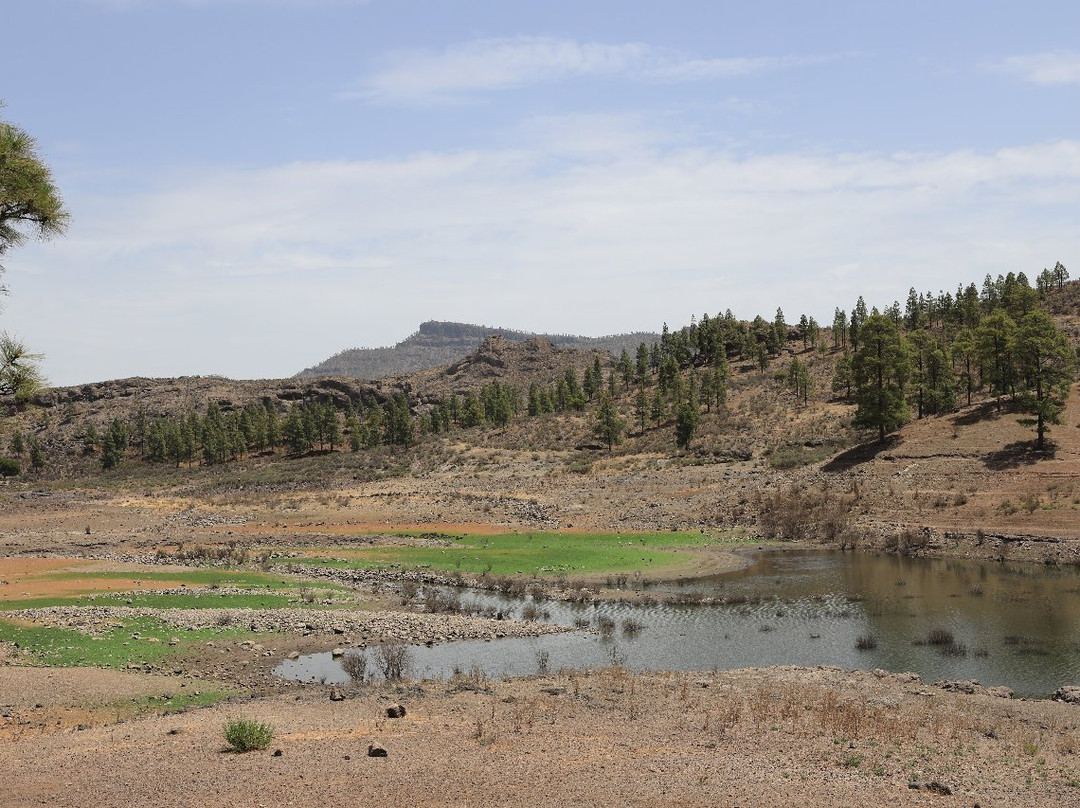 Presa de Las Ninas景点图片