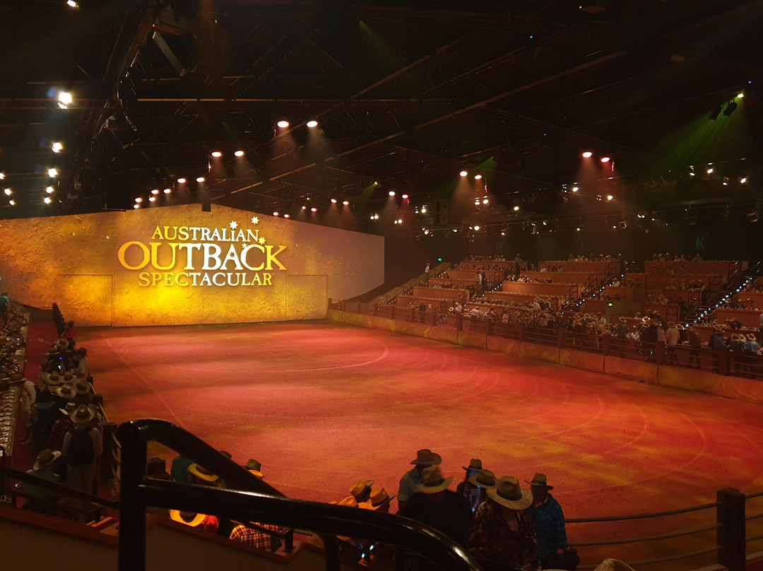 Port Bus-麦克夸利港必去景点