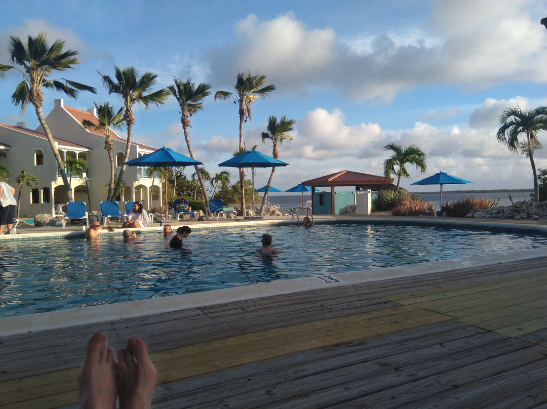 Captain Don's Habitat主图