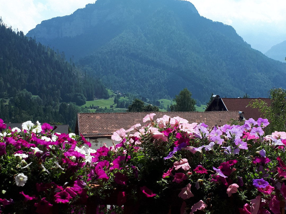 Albergo Ristorante Serenella主图
