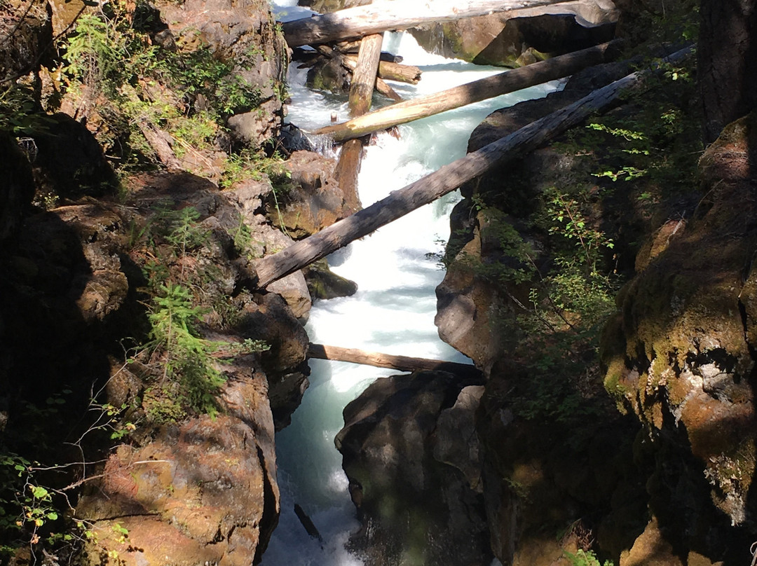 Rogue River Gorge Viewpoint-Prospect必去景点
