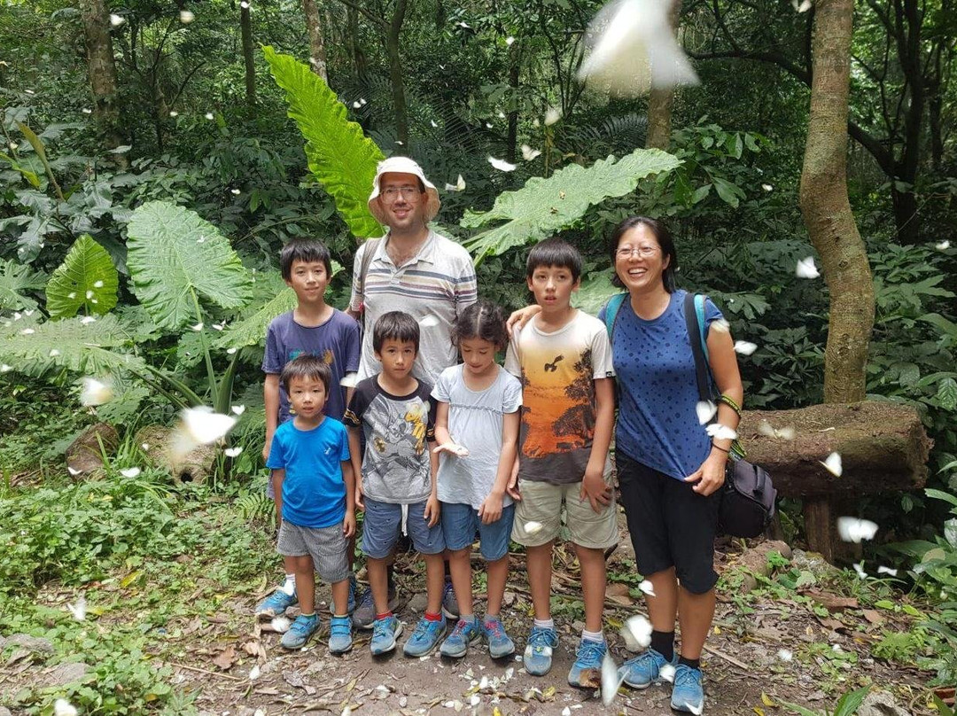Hoa Lu Tam Coc Original景点图片