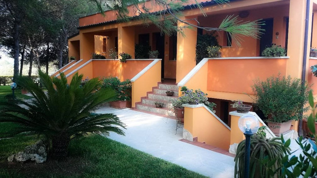 地中海的太阳主图