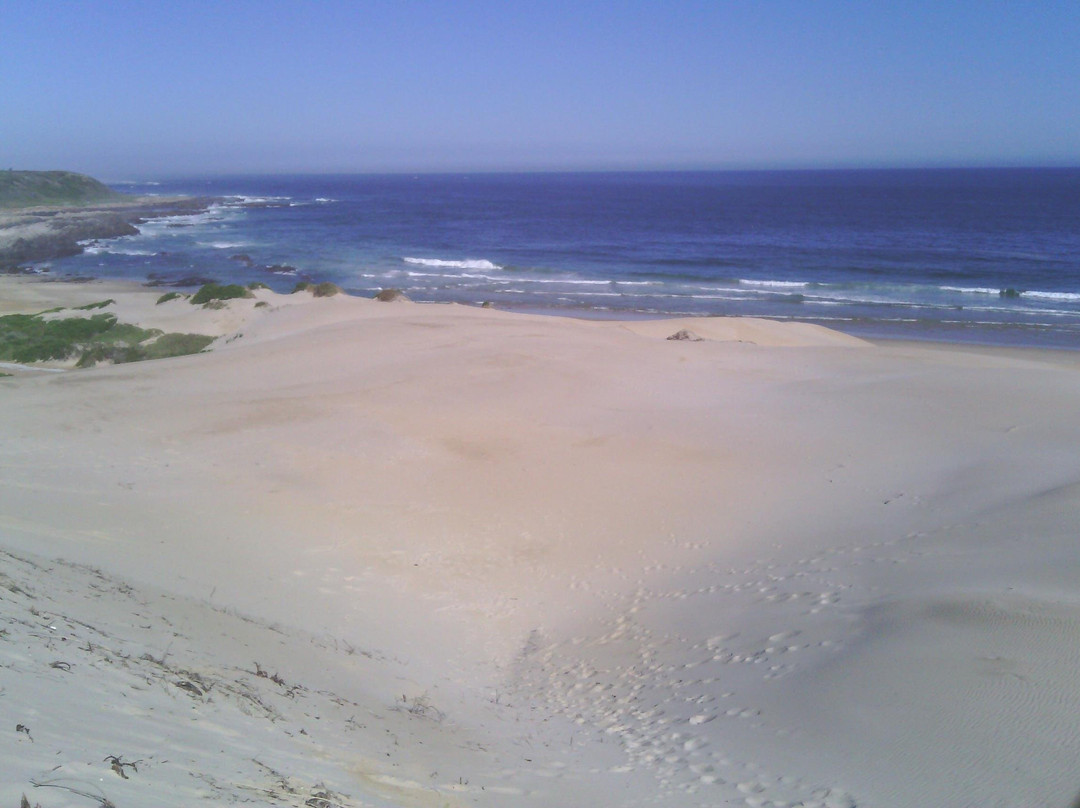 Guided Marine Tours - Port Elizabeth, South Africa-伊丽莎白港必去景点