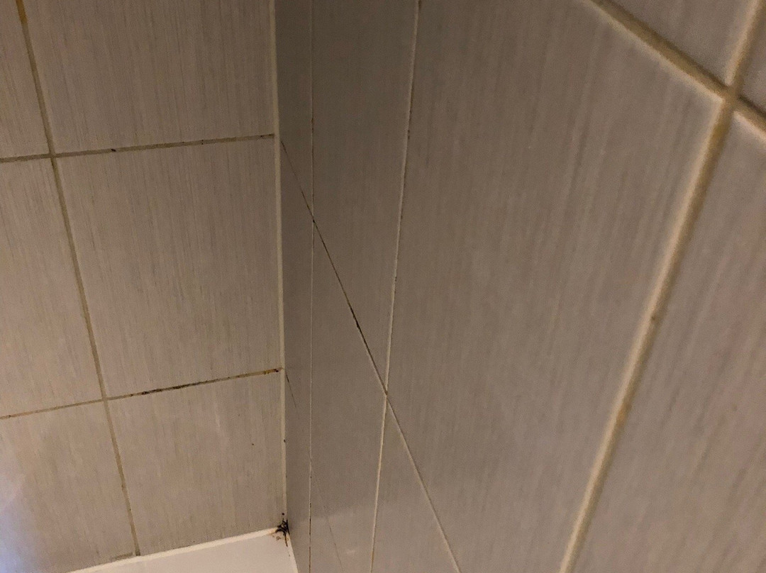 The Hatchet Inn主图