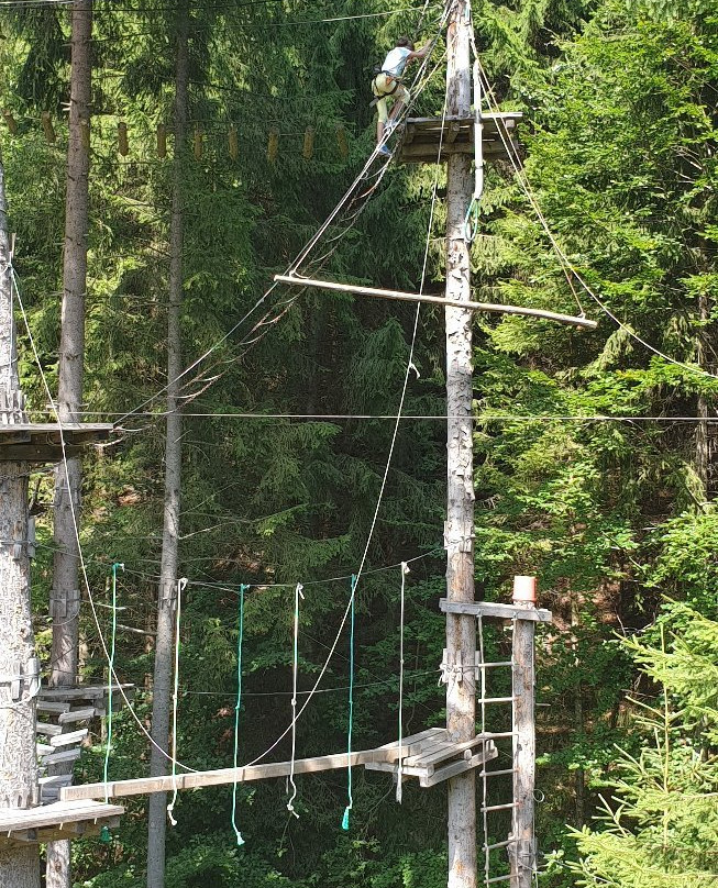 Tree Adventure Park Fundatica景点图片