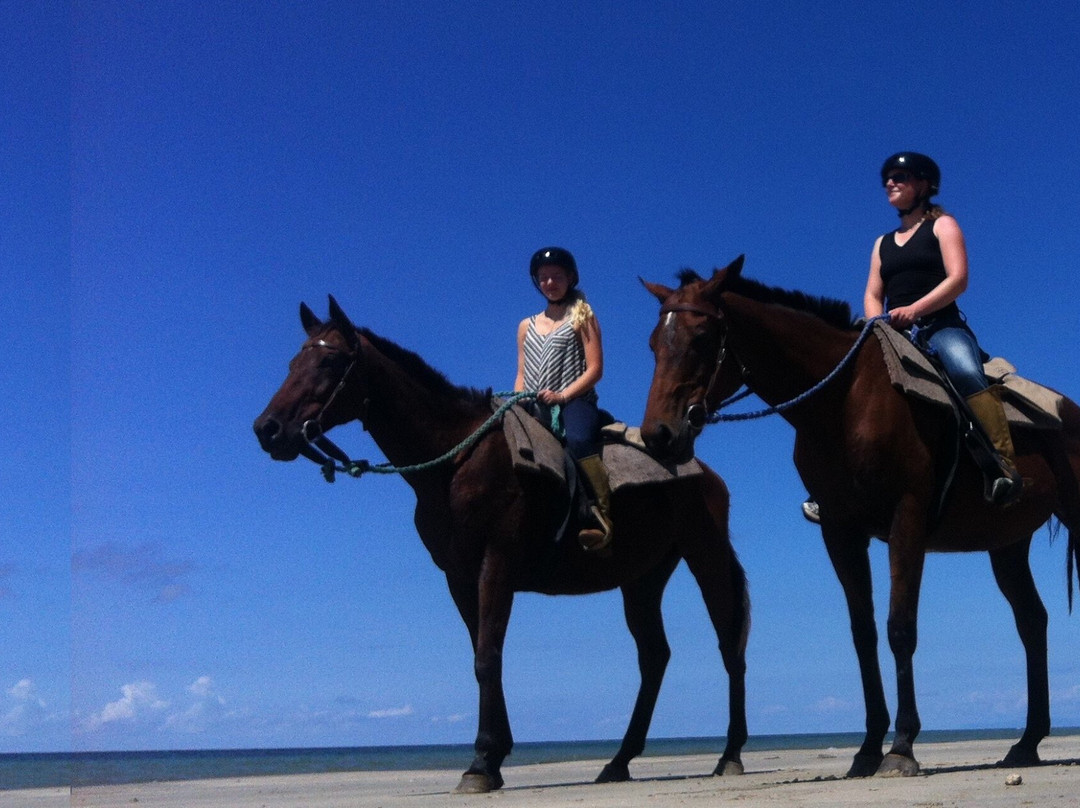 Cape Trib Horse Rides景点图片