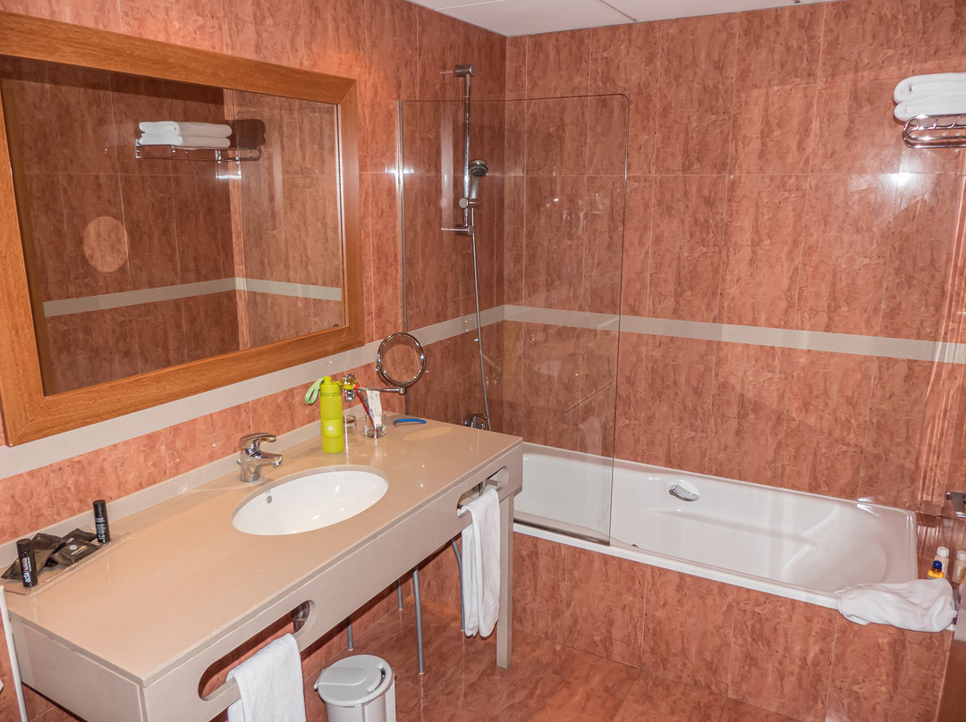 阿克塔艺术酒店主图