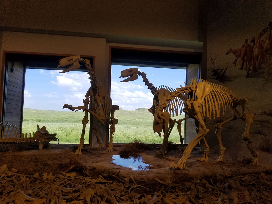Agate Fossil Beds National Monument-Harrison必去景点