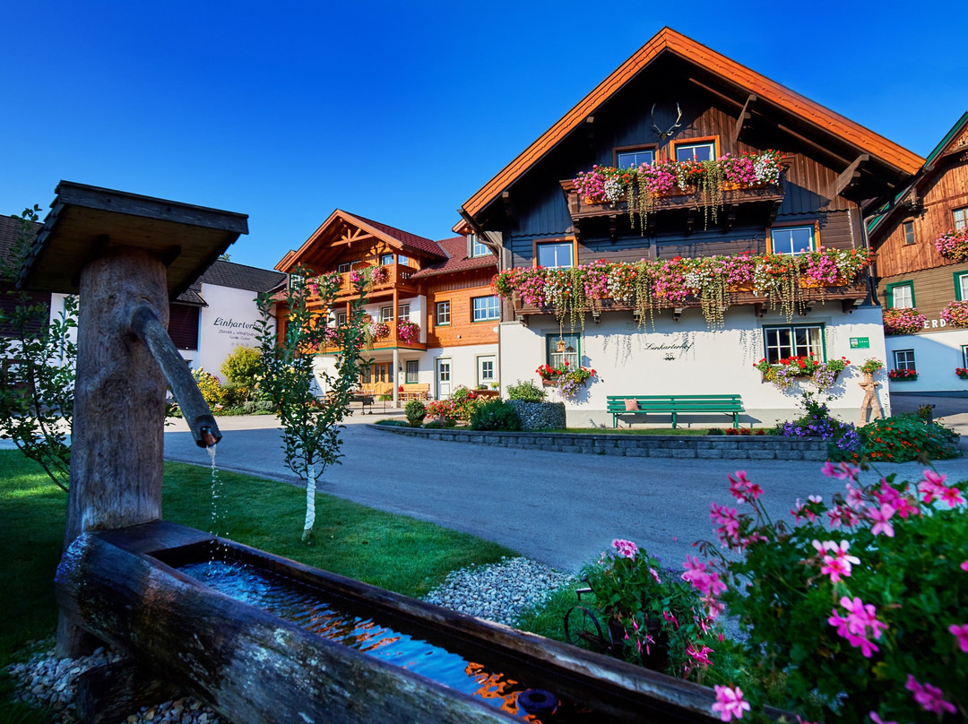 Haus im Ennstal酒店住宿-Linharterhof Rooms
