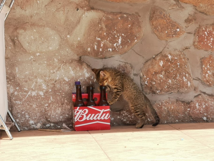 Villa Mercedes Hotel Urubamba主图