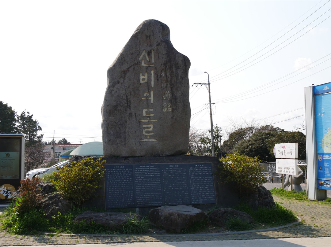 济州岛神奇之路景点图片