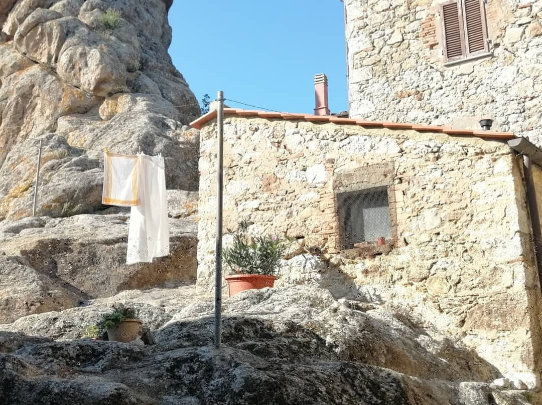 Chiesa di San Martino Vescovo景点图片